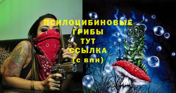 дживик Алексеевка