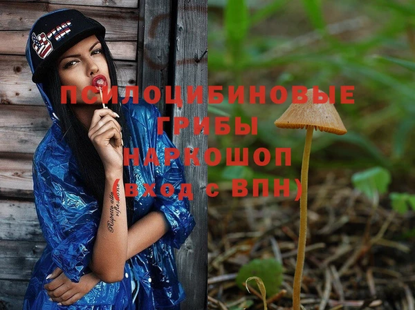 дживик Алексеевка